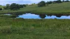 Foto 15 de Fazenda/Sítio com 2 Quartos à venda, 106000m² em Zona Rural, Monte Alegre