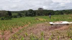 Foto 3 de Fazenda/Sítio à venda, 5000m² em Jardim Roriz, Brasília