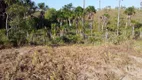 Foto 4 de Fazenda/Sítio com 1 Quarto à venda, 5000000m² em Lagoa Azul, Macapá