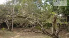 Foto 17 de Fazenda/Sítio com 3 Quartos à venda, 300m² em Carne de Vaca, Goiana