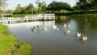 Foto 12 de Lote/Terreno à venda, 1000m² em Colinas do Piracicaba Ártemis, Piracicaba