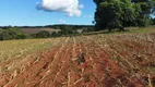 Foto 12 de Fazenda/Sítio à venda, 48000m² em Zona Rural, São Miguel do Passa Quatro