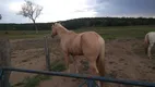 Foto 3 de Fazenda/Sítio à venda em Zona Rural, Arinos