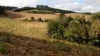 Foto 5 de Fazenda/Sítio à venda, 21500m² em Avenquinha, Campo Alegre