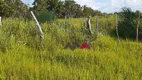 Foto 14 de Fazenda/Sítio com 1 Quarto à venda, 43463200m² em Zona Rural, Conceição do Tocantins