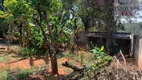 Foto 40 de Fazenda/Sítio com 4 Quartos à venda, 200m² em Chácaras Nova Germânia, Campo Limpo Paulista