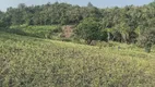 Foto 40 de Fazenda/Sítio com 3 Quartos à venda, 5m² em , Santo Antônio da Patrulha