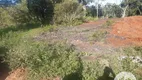 Foto 12 de Lote/Terreno à venda, 6000m² em Rio do Salto, Cascavel