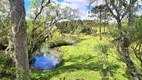 Foto 48 de Fazenda/Sítio à venda, 90000m² em Perico, São Joaquim