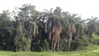 Foto 12 de Fazenda/Sítio à venda, 20000m² em Zona Rural, Pedro Leopoldo