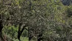 Foto 4 de Fazenda/Sítio com 2 Quartos à venda, 6000m² em Zona Rural, Marmelópolis