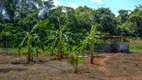 Foto 29 de Fazenda/Sítio com 4 Quartos à venda, 451m² em Palmeiras, Dois Irmãos do Buriti