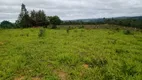 Foto 18 de Fazenda/Sítio com 5 Quartos à venda, 370000m² em Centro, Itaguara