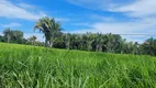 Foto 16 de Fazenda/Sítio à venda em Zona Rural, Acorizal