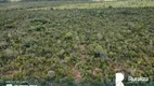 Foto 5 de Fazenda/Sítio à venda, 4840m² em Zona Rural, Presidente Kennedy