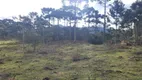 Foto 6 de Fazenda/Sítio à venda, 20000m² em , Urubici