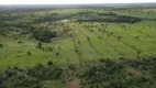 Foto 5 de Fazenda/Sítio com 4 Quartos à venda, 242000000m² em Setor Central, Alto Horizonte