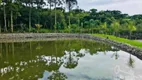 Foto 68 de Fazenda/Sítio com 4 Quartos à venda, 400m² em Roça Velha, São José dos Pinhais