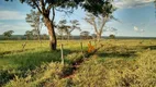 Foto 3 de Fazenda/Sítio à venda, 96800000m² em Zona Rural, Cassilândia