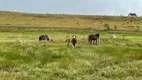 Foto 13 de Fazenda/Sítio à venda, 20000m² em Zona Rural, Paraopeba