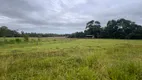 Foto 23 de Fazenda/Sítio com 3 Quartos à venda, 16000m² em Vila Rica, Criciúma