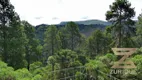 Foto 51 de Casa de Condomínio com 4 Quartos à venda, 400m² em Parque Imbiry, Campos do Jordão