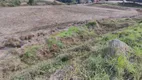 Foto 6 de Lote/Terreno à venda em Forqueta, Caxias do Sul