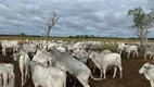 Foto 2 de Fazenda/Sítio à venda, 630m² em Zona Rural, Batayporã