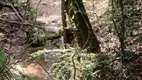 Foto 5 de Fazenda/Sítio com 3 Quartos à venda, 5000m² em Parque da Barragem Setor 08, Águas Lindas de Goiás