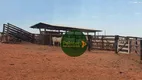 Foto 3 de Fazenda/Sítio à venda, 14713600m² em Zona Rural, Paraúna