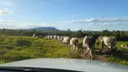 Foto 15 de Lote/Terreno à venda, 20000m² em Centro, Fortuna de Minas