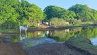 Foto 8 de Fazenda/Sítio com 4 Quartos à venda, 300m² em , Boa Saúde