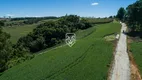 Foto 19 de Lote/Terreno à venda em Ferraria, Campo Largo