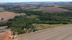 Foto 4 de Fazenda/Sítio com 2 Quartos à venda, 233m² em Zona Rural, Piracanjuba