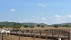 Foto 4 de Fazenda/Sítio à venda em Zona Rural, Unaí