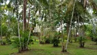 Foto 7 de Fazenda/Sítio com 2 Quartos à venda, 10000m² em Espirito Santo do Taua, Santo Antônio do Tauá