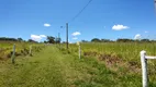 Foto 121 de Fazenda/Sítio com 2 Quartos à venda, 131916m² em Centro, Paraopeba