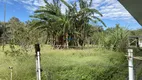 Foto 3 de Fazenda/Sítio com 3 Quartos à venda, 320000m² em Centro Histórico, Paranaguá