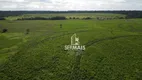 Foto 8 de Fazenda/Sítio à venda, 10400000m² em , Nova Mamoré