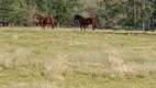 Foto 15 de Fazenda/Sítio com 4 Quartos à venda, 45000m² em Zona Rural, Pelotas