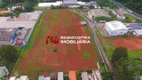 Foto 7 de Lote/Terreno à venda, 22000m² em Chácara Maria Trindade, São Paulo