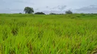 Foto 23 de Fazenda/Sítio com 2 Quartos à venda em Centro, Vera Cruz