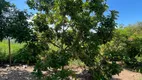 Foto 17 de Fazenda/Sítio com 3 Quartos para venda ou aluguel, 1000m² em Souza, Rio Manso