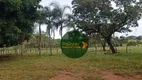 Foto 3 de Fazenda/Sítio com 2 Quartos à venda, 6292000m² em Zona Rural, Faina