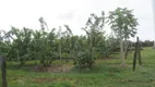 Foto 27 de Fazenda/Sítio com 3 Quartos à venda, 10m² em Macuco, Valinhos