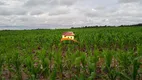 Foto 30 de Fazenda/Sítio à venda, 1m² em , Santa Rita do Tocantins