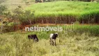 Foto 14 de Fazenda/Sítio com 3 Quartos à venda, 300m² em , Florestal