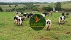Foto 23 de Fazenda/Sítio à venda, 726000m² em Zona Rural, Itaguari
