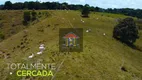 Foto 17 de Fazenda/Sítio à venda, 163m² em Centro, Água Preta