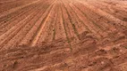 Foto 6 de Fazenda/Sítio à venda, 437m² em Centro, Rio Sono